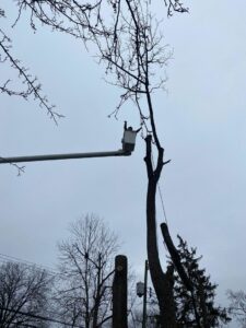A tree service professional in a bucket lift performing tree trimming, demonstrating safe work practices by ES Tree Services Llc in Columbus, OH