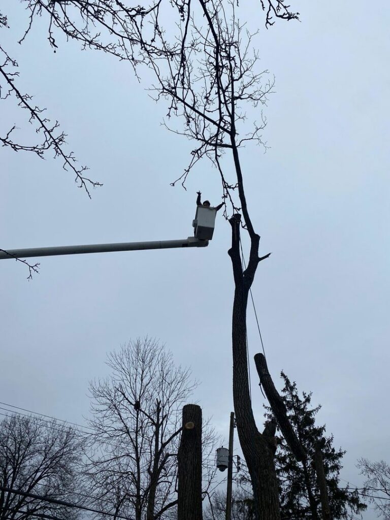 A tree service professional in a bucket lift performing tree trimming, demonstrating safe work practices by ES Tree Services Llc in Columbus, OH