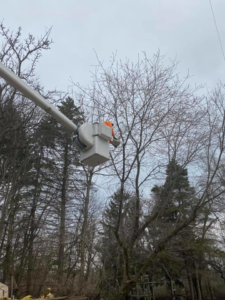 A tree service worker in a bucket lift performing professional tree trimming for Stick Chasers Tree Service in Racine, WI.