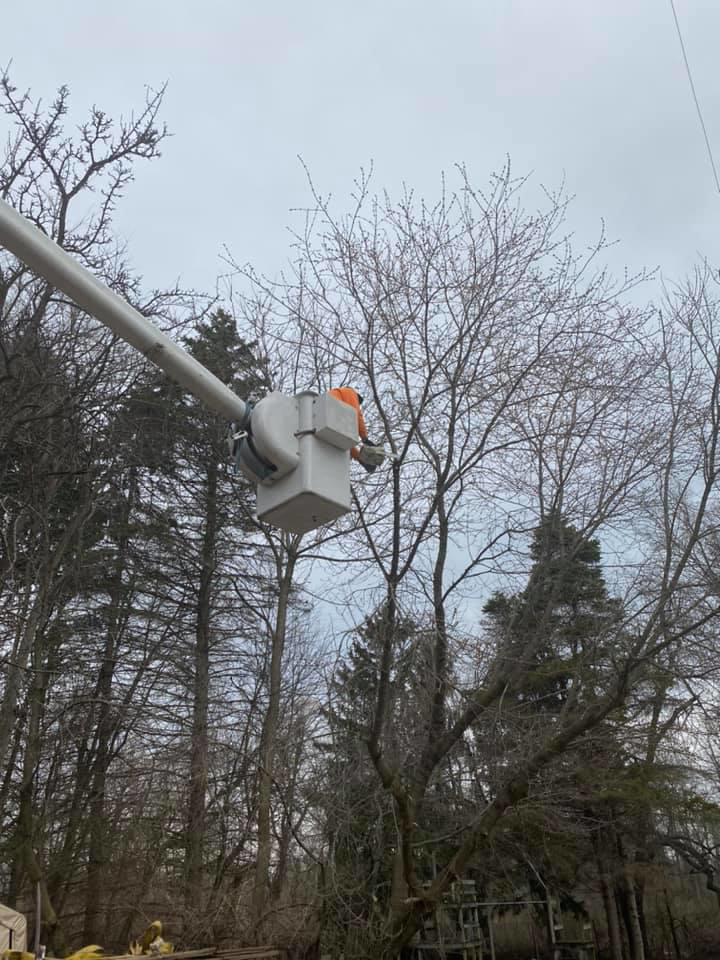 A tree service worker in a bucket lift performing professional tree trimming for Stick Chasers Tree Service in Racine, WI.