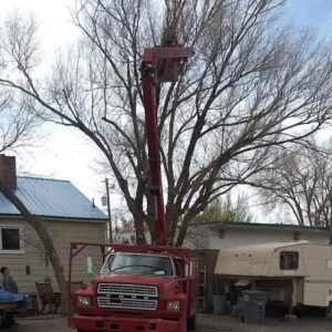 A red bucket truck positioned for tree trimming by All American Arborists in Rock Springs, WY.