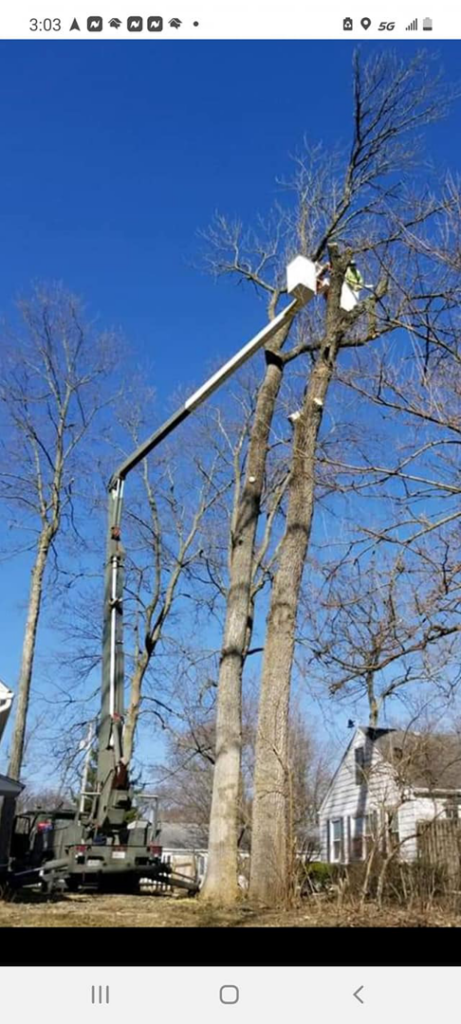 An Arbor Tech Tree Specialist arborist trimming tall trees from a bucket truck in Flint, MI.