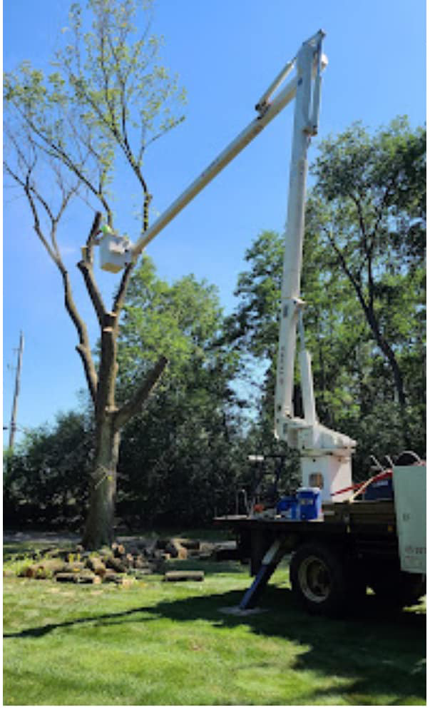 An arborist in a bucket truck trimming a tree for Beaver Tree Services in Waukesha, WI.