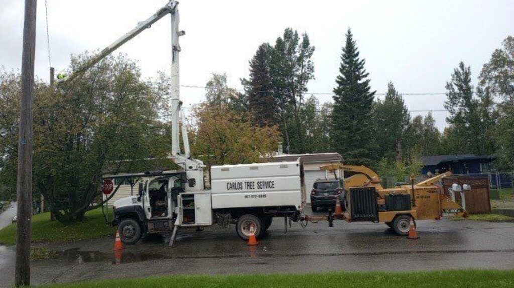 A Carlos Tree Service bucket truck with a worker trimming trees near power lines on a street in Juneau, AK.
