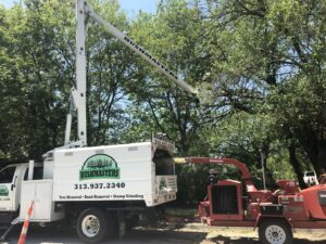 A Bushmasters Tree Care worker in a bucket truck trimming a tree, with a wood chipper on site in Westland, MI.