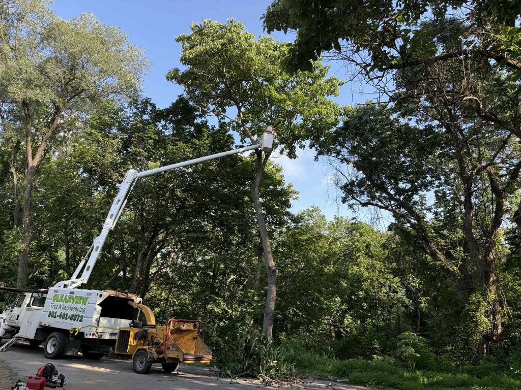A worker in a bucket truck performing tree trimming with a wood chipper nearby for Clearview Tree and Landscaping Services in Martinsburg, WV.