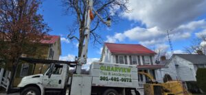 A Clearview Tree and Landscaping Services bucket truck extended for tree trimming in Martinsburg, WV.