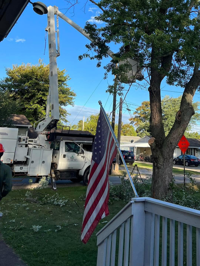 A tree service worker in a bucket truck trimming a large tree for Ecotree Services LLC in Lorain, OH.
