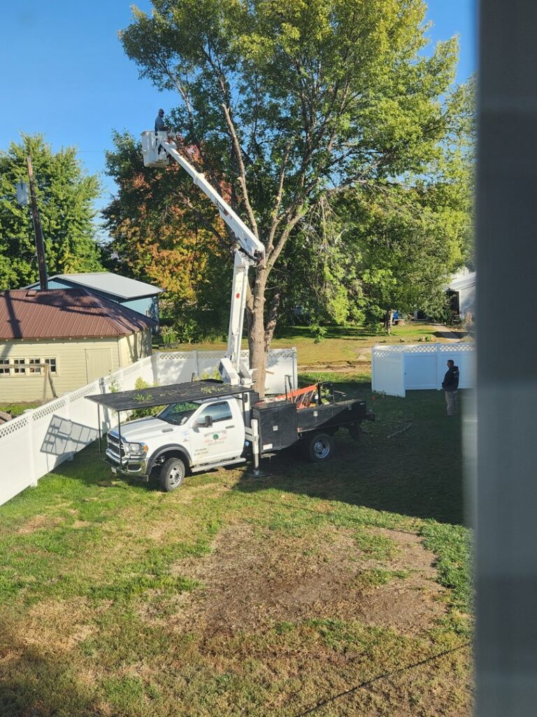 A worker in a bucket truck performing tree trimming services for Hartington Tree in Yankton, SD.