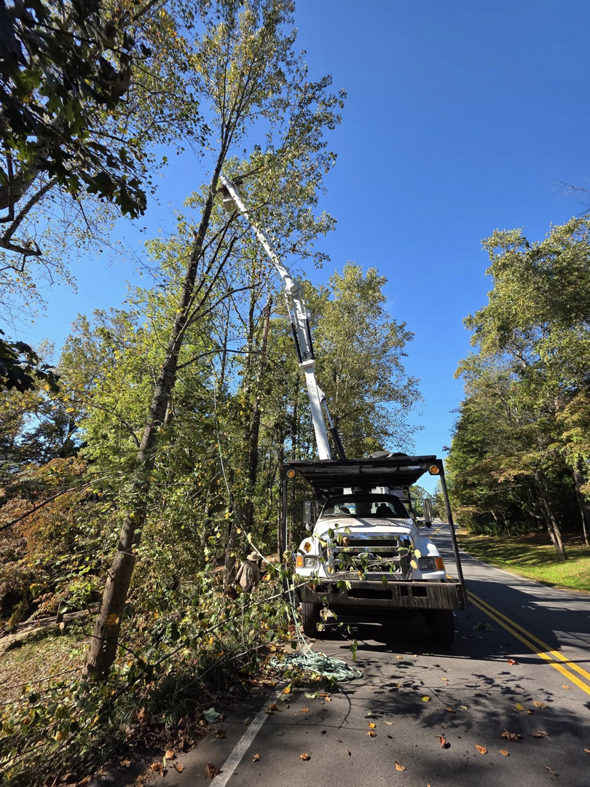 A bucket truck from Morales Services performing tree trimming next to a road in Greenville, SC.