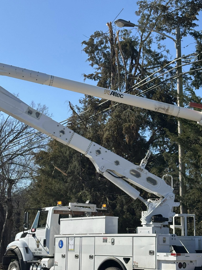 An Ox Tree service provider using a bucket truck to trim a tree near power lines in Birmingham, AL.