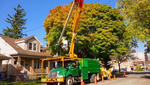 A tree trimming bucket truck and wood chipper on a job site by Tree Removal Washington in Seattle, WA