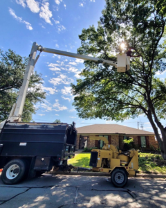 A tree service worker in a bucket truck trimming a tree with a wood chipper on the ground by SGC Services in Fort Worth, TX.