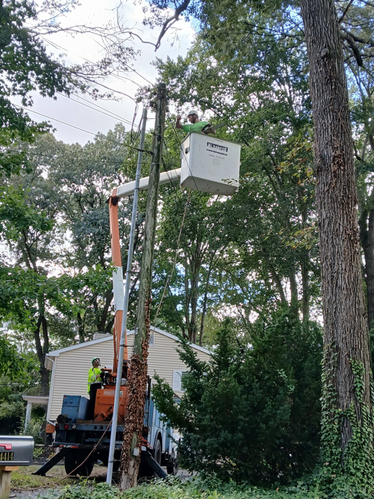 Tree service workers in a bucket truck performing tree trimming near power lines for Woodland Experts., LLC in Seaford, DE.