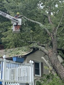 A tree service professional in a bucket lift using a chainsaw to trim branches for BlueWater Tree Service, LLC in Bangor, ME.