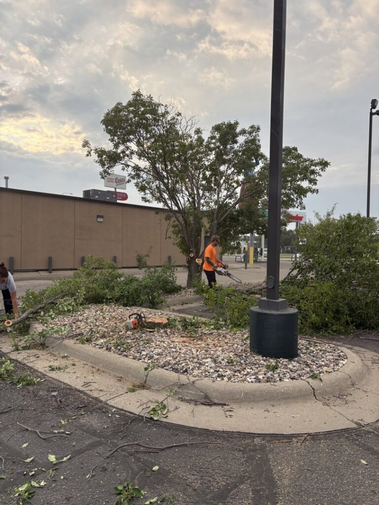 Custom Cuts Tree Service crew using chainsaws for tree trimming in a commercial area in Watertown, SD.
