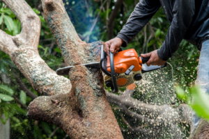 A professional tree service worker using a chainsaw to trim a tree branch for Smiles Tree Service in Atlanta, GA.