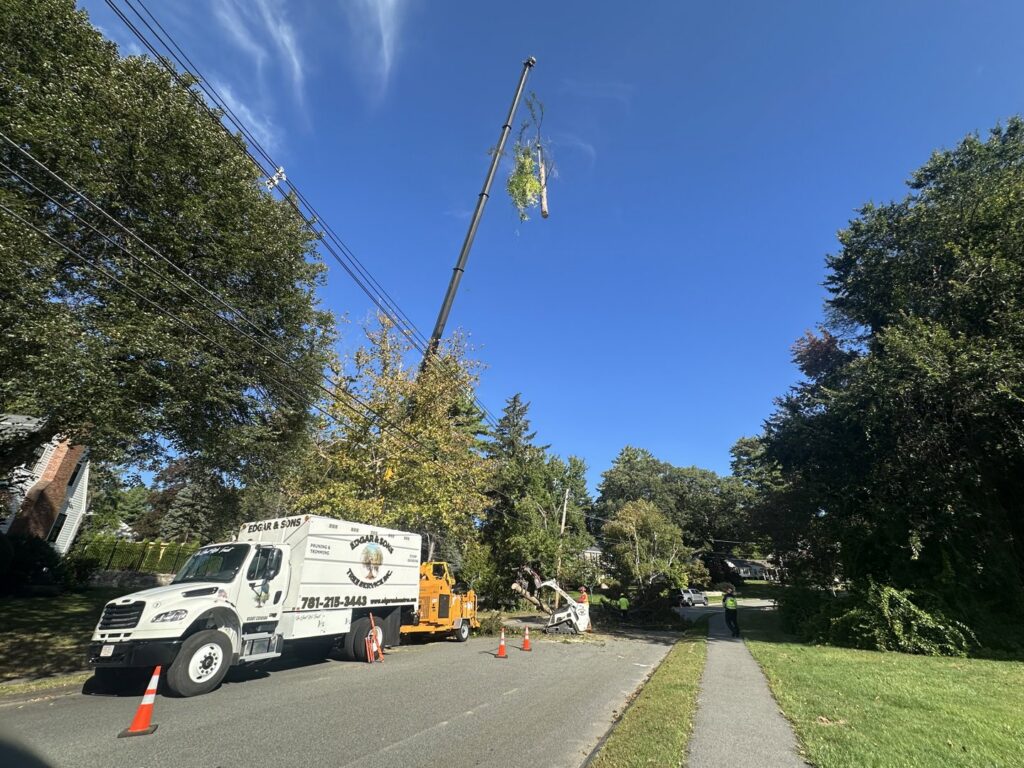 A tree service crew with a bucket truck and chipper performing tree trimming for Edgar&son's landscaping in Boston, MA