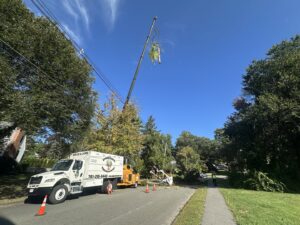A tree service crew with a bucket truck and chipper performing tree trimming for Edgar&son's landscaping in Boston, MA