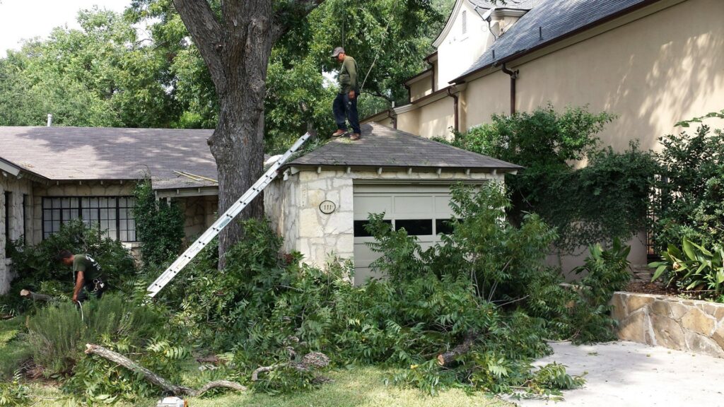 Tree service crew performing tree trimming and cleanup at a residential property for Andrew's Tree & Landscaping Services in San Antonio, TX