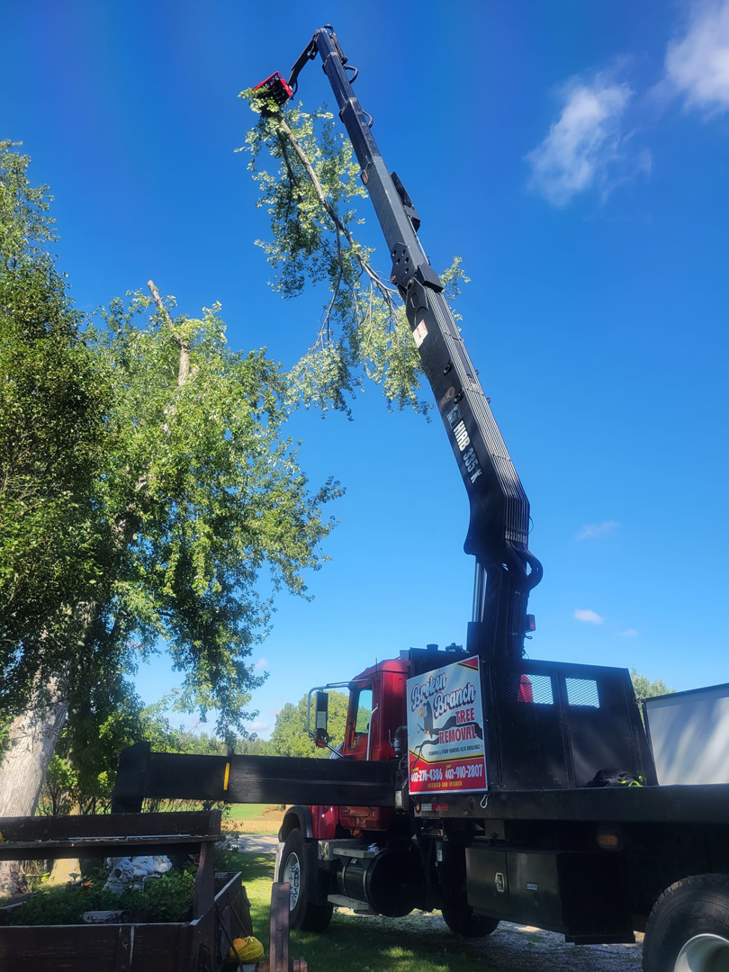 Broken Branch Tree Removal's crane truck performing tree trimming services in Broadalbin, NY.