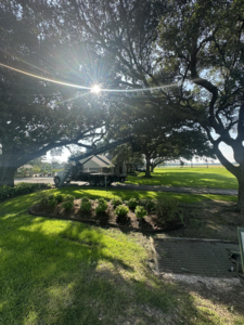A tree service crane truck positioned under large oak trees for trimming by Green Leaf Tree Service in Broussard, LA.