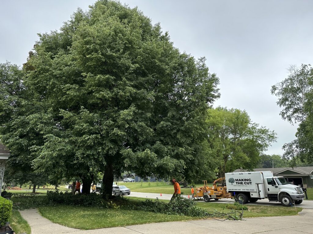A tree service crew with a chipper truck and wood chipper performing tree trimming in Muskego, WI, by Making the Cut Tree Service.