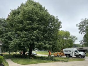 A tree service crew with a chipper truck and wood chipper performing tree trimming in Muskego, WI, by Making the Cut Tree Service.