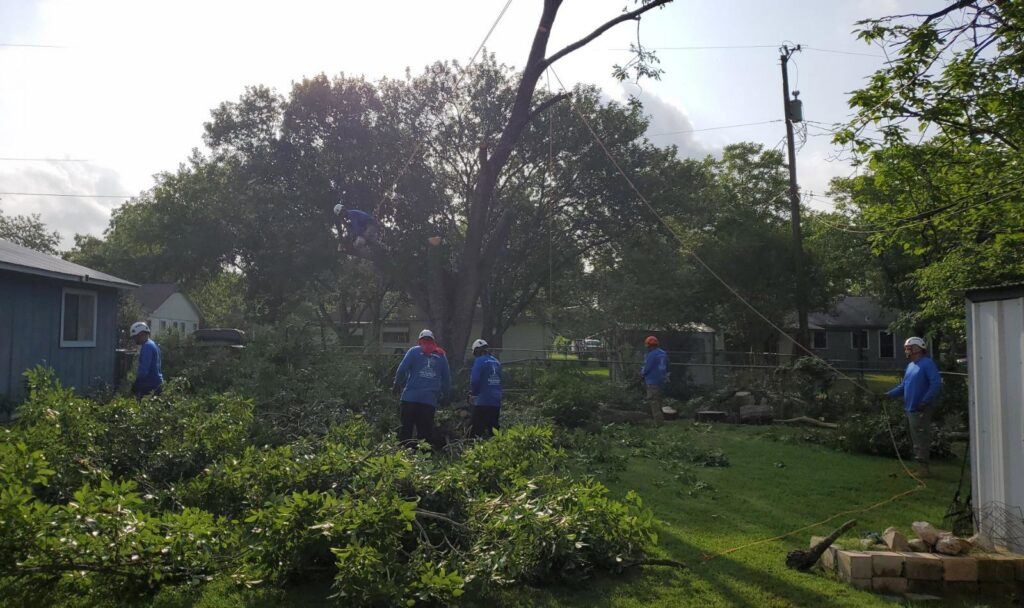 A tree trimming crew clearing cut branches from a backyard for S.A. Total Tree Service in San Antonio, TX