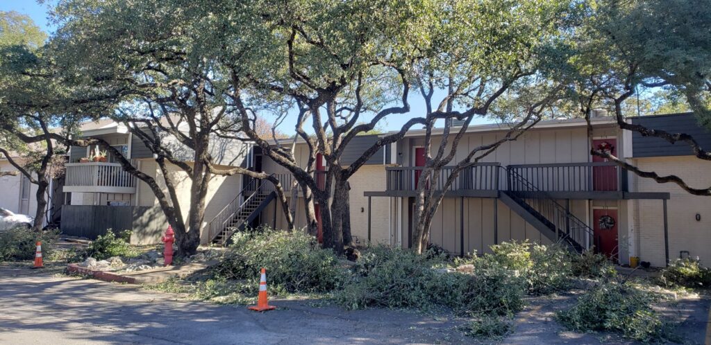 Freshly trimmed tree branches and debris on the ground at an apartment complex by JP'S Tree Service in Austin, TX.