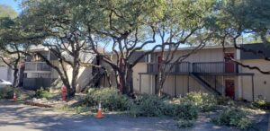 Freshly trimmed tree branches and debris on the ground at an apartment complex by JP'S Tree Service in Austin, TX.