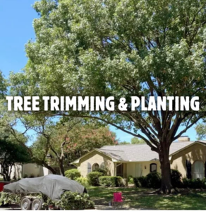 A trailer filled with trimmed tree branches and debris after a tree trimming service by Big E's Tree Service in Dallas, TX