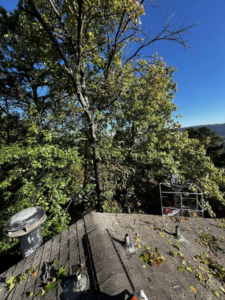 Tree branches and leaves on a roof after trimming work by Castle Tree Service in Conway, AR.