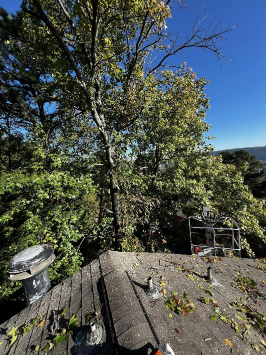 Tree branches and leaves on a roof after trimming work by Castle Tree Service in Conway, AR.
