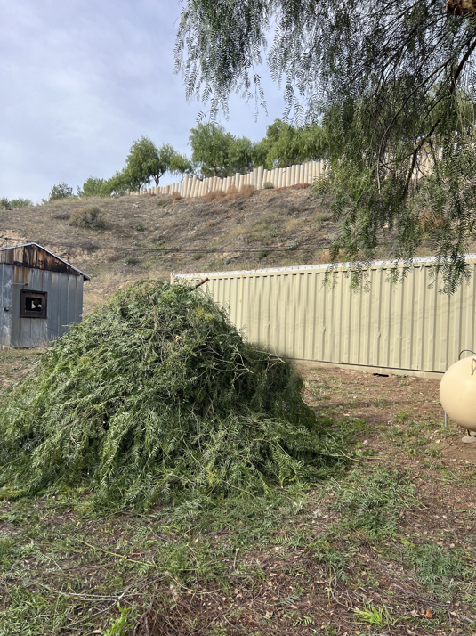 A large pile of trimmed tree branches and yard debris after cleanup by Green River Utilities in Caldwell, ID.