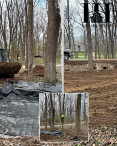 Tree trimming, excavation, and land clearing services by HorseandHedge in Lexington, KY.