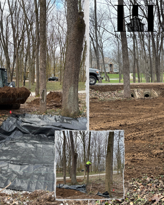 Tree trimming, excavation, and land clearing services by HorseandHedge in Lexington, KY.