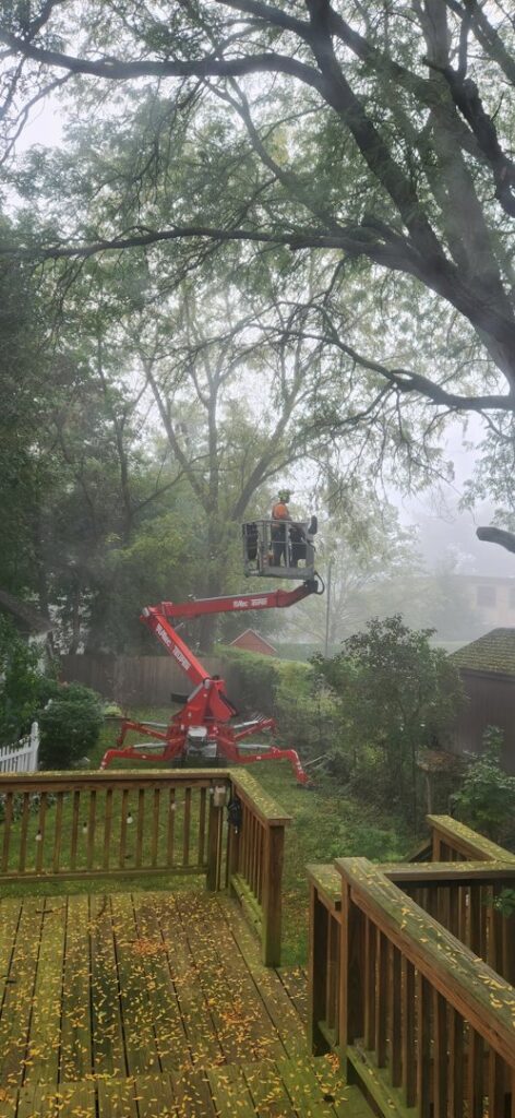 A tree service professional in a bucket lift performing tree trimming services for L. Moore Tree Service in Auburn, NY.
