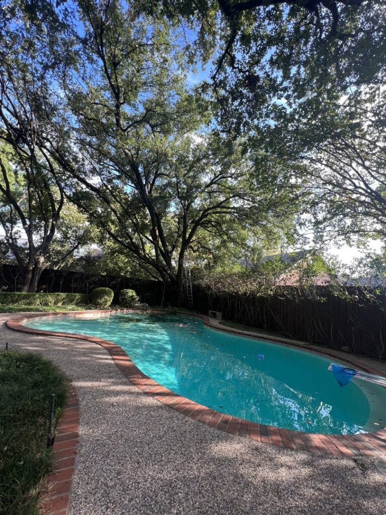 A ladder leaning against a large tree in a backyard with a pool, indicating tree trimming by JG Tree Service in Philadelphia, PA.