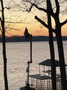 A tree service professional in a bucket truck trimming a tree with a scenic lake view at sunset by Wallace Tree Service in Russellville, AL.