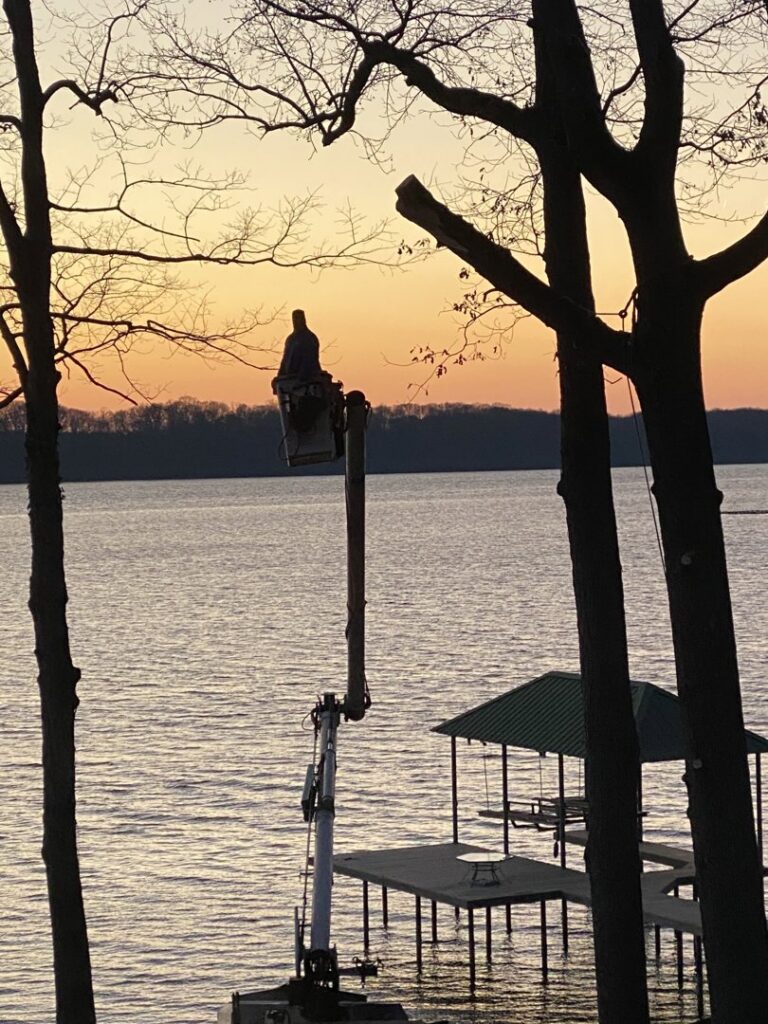 A tree service professional in a bucket truck trimming a tree with a scenic lake view at sunset by Wallace Tree Service in Russellville, AL.