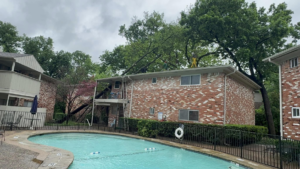Tree service workers trimming a large tree near an apartment building roof for Mty lawn and tree service in Dallas, TX