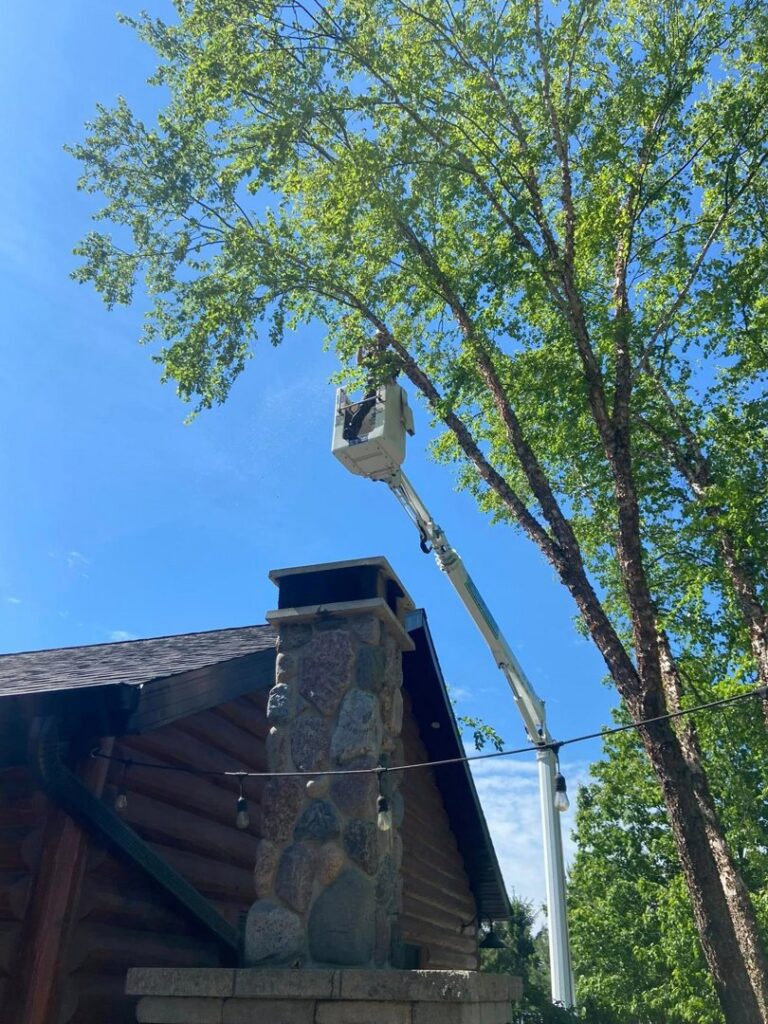 A tree service worker in a bucket trimming branches of a leafy tree near a residential house by Cutting Edge Tree Service in Racine, WI.