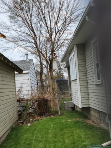 Tree trimming in progress near a residential house with a bucket truck by JT Tree Service & Removal in Toledo, OH.
