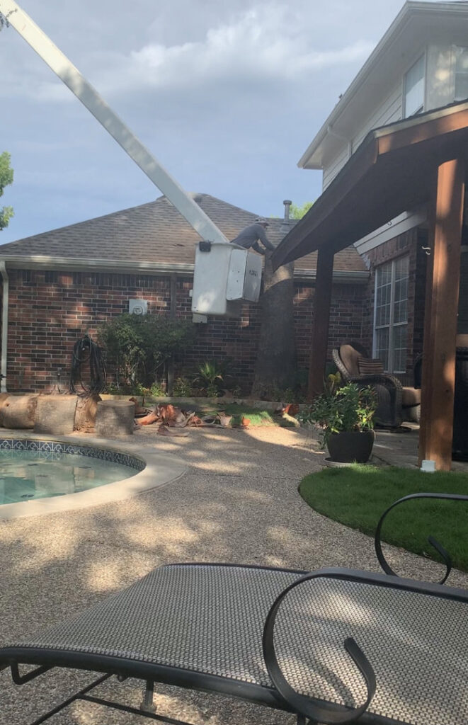 A worker in a bucket trimming a tree near a residential pool for Parker TX Tree Service in Plano, TX.