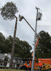 Tree service workers trimming a tall pine tree near power lines using a bucket truck for E&D Expert Tree service LLC in Newport News, VA.