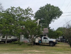A KIRI TREE service bucket truck with its boom extended, performing tree trimming near power lines and a residential house in Austin, TX.