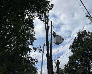 A worker in a bucket lift performing tree trimming near power lines for Tip Top Tree Service in Hudson, NH.
