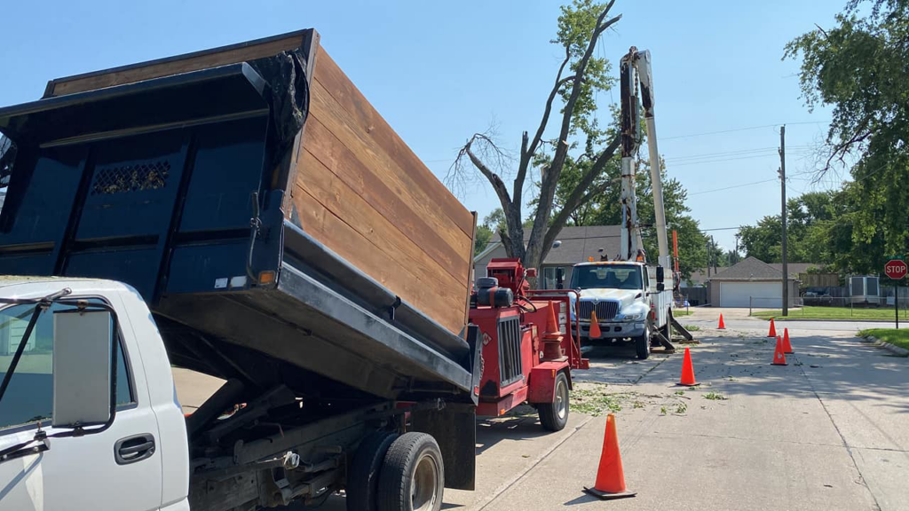 A tree trimming operation with a dump truck, wood chipper, and bucket truck on a street by A to Z Trees and More LLC in Omaha, NE.