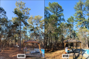 Before and after image of tree trimming and canopy clearing near a pool by BW Tree Removal in Aiken, SC.
